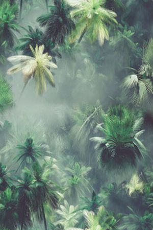 女装大华亿平台印花华亿平台图片