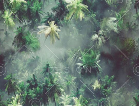 女装大华亿平台印花华亿平台图片