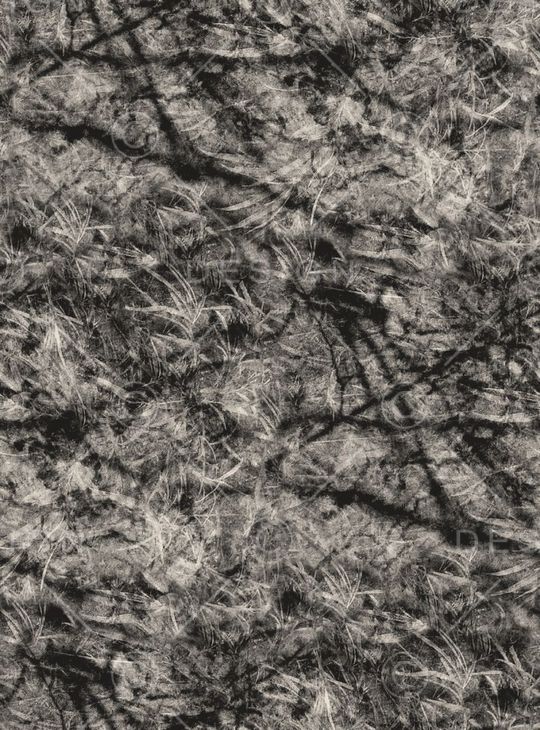 黑白印花华亿平台图片