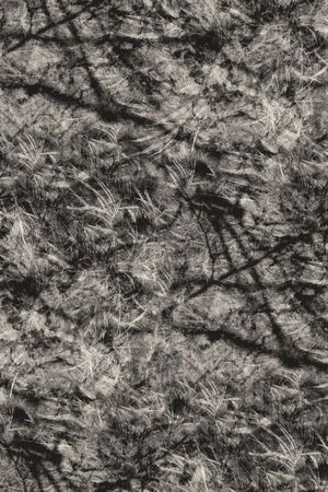 黑白印花华亿平台图片