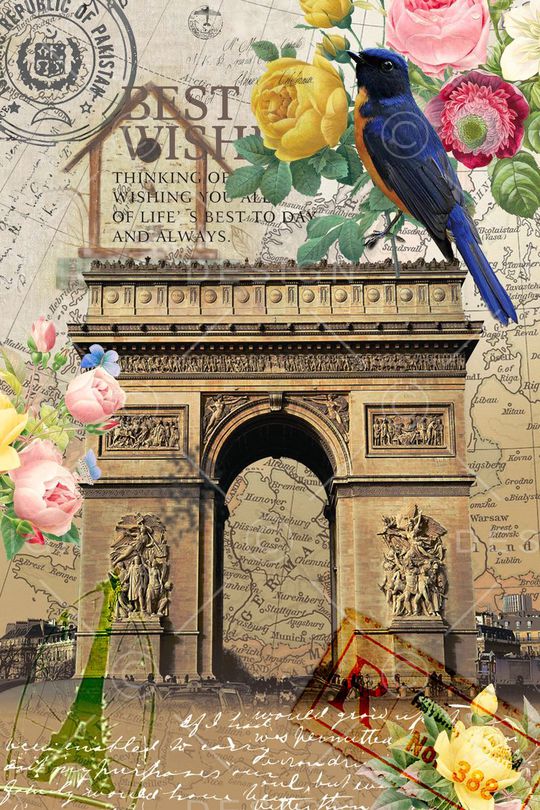 创意服装面料印花华亿平台图片