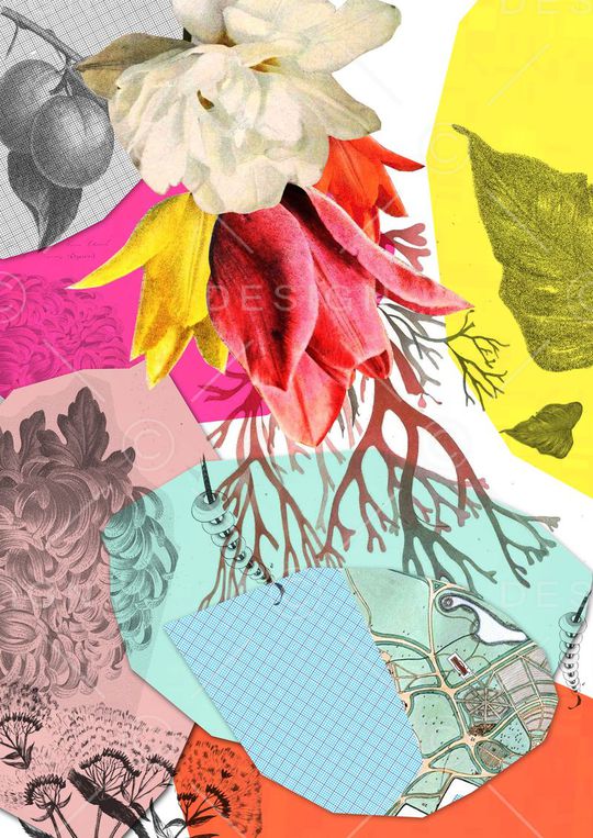 复古印花华亿平台图片