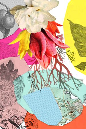 复古印花华亿平台图片