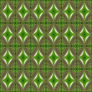 490180-IMG_3241副本