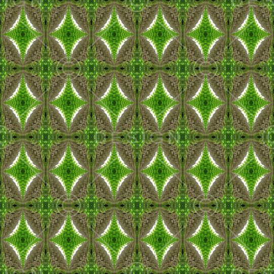 对称印花华亿平台图片