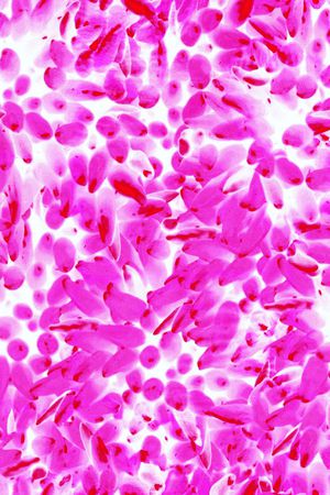 时尚印花华亿平台图片