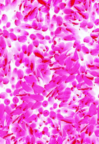 时尚印花华亿平台图片