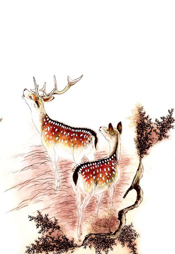 490205-原创水墨小鹿休息华亿平台