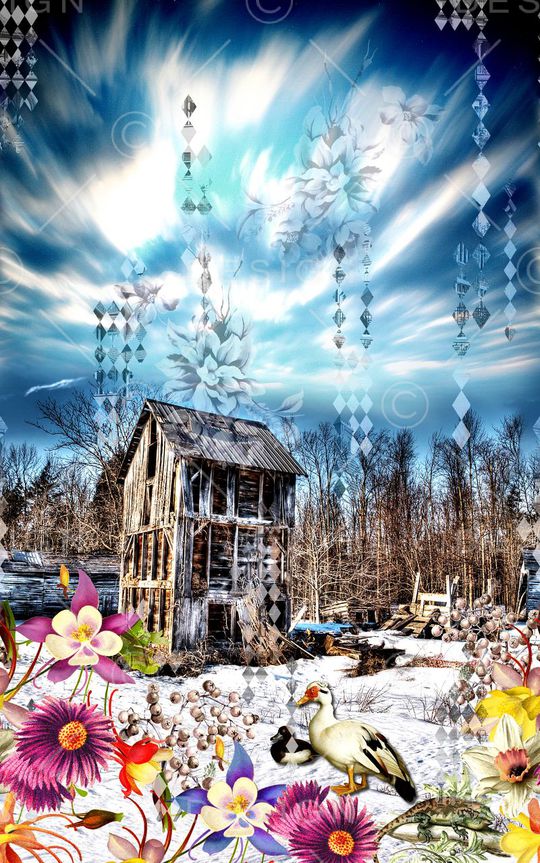 时尚印花华亿平台图片