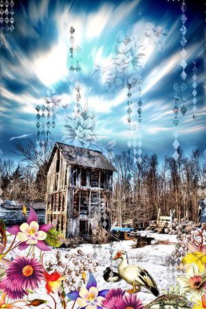 时尚印花华亿平台图片