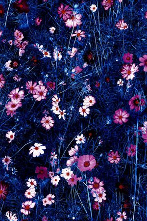 衬衫印花华亿平台图片