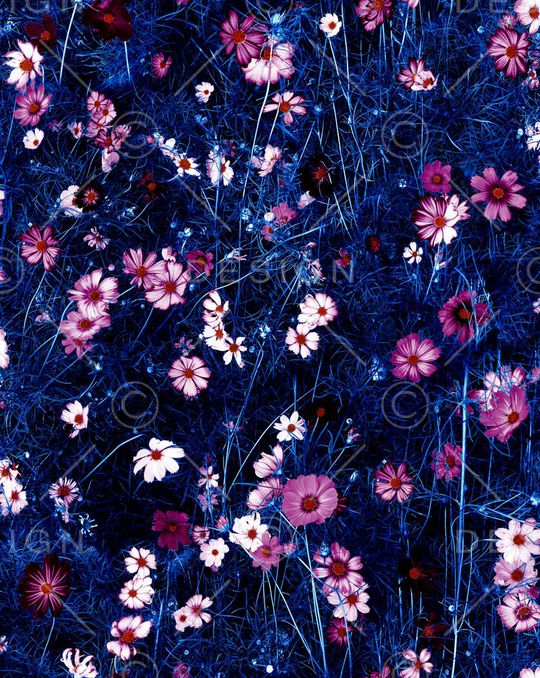 衬衫印花华亿平台图片