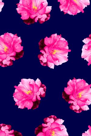 满版华亿平台印花华亿平台图片