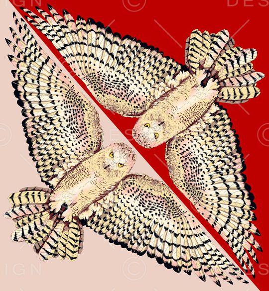 中国风印花华亿平台图片