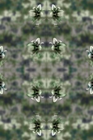 迷彩印花华亿平台图片