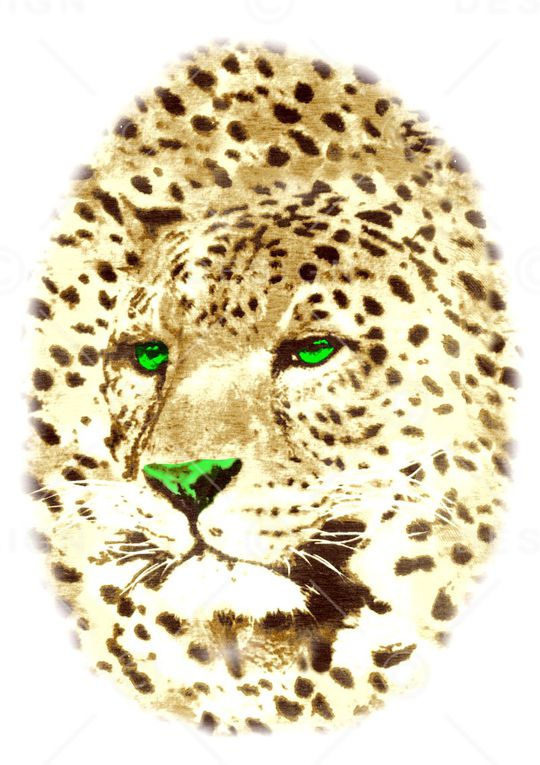 动物皮毛印花华亿平台图片