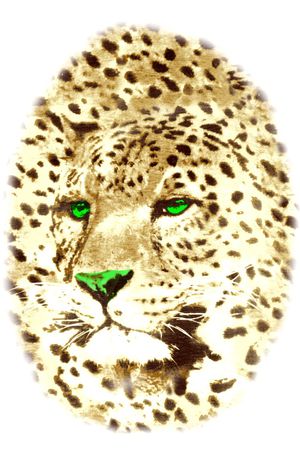 动物皮毛印花华亿平台图片