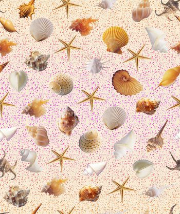 490699-时尚复古清新贝壳渐变女装华亿平台