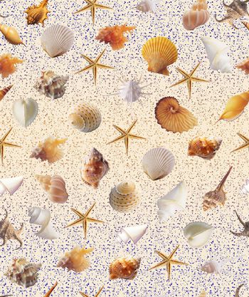 490700-时尚复古清新贝壳渐变女装华亿平台