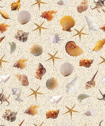 490701-时尚复古清新贝壳渐变女装华亿平台