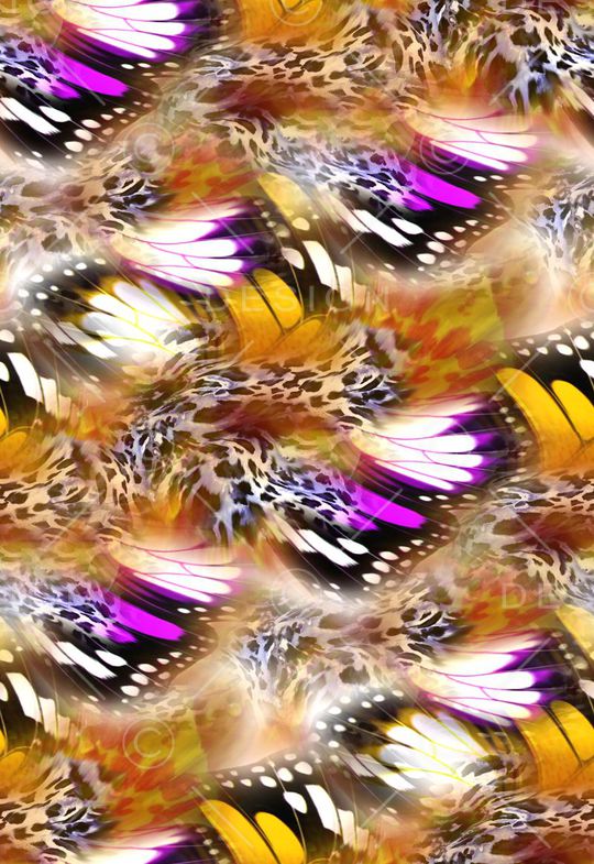 鸟类羽毛印花华亿平台图片