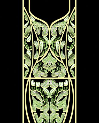 490807-原创定位线条动物皮毛华亿平台