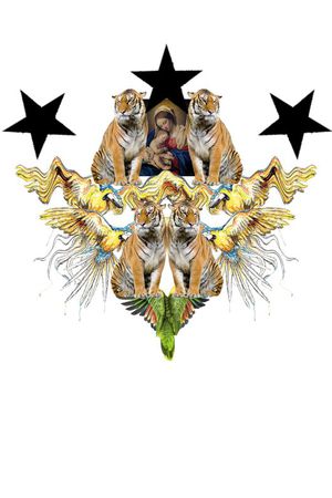 创意服装面料印花华亿平台图片