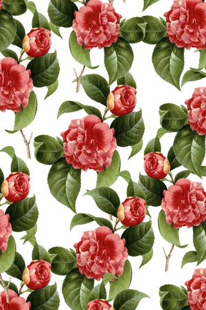 时尚印花华亿平台图片