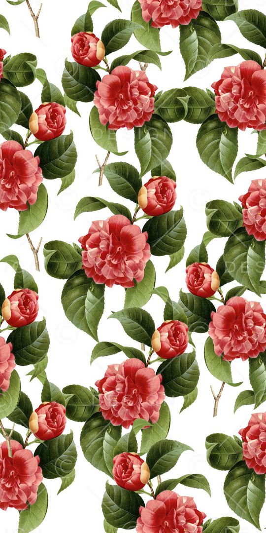 时尚印花华亿平台图片