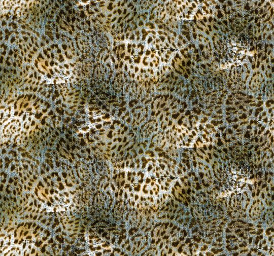 时尚前卫印花华亿平台图片