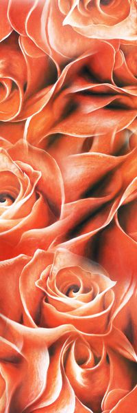 数码印花华亿平台图片