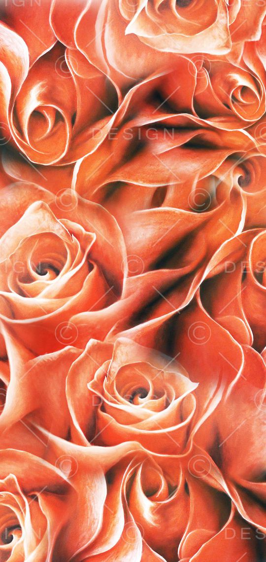 数码印花华亿平台图片