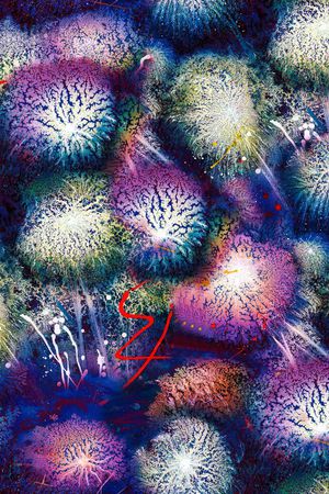 烟花绽放印花华亿平台图片