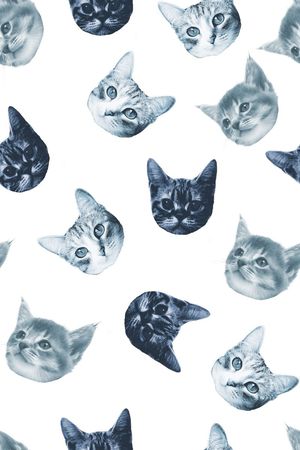 动物印花华亿平台图片