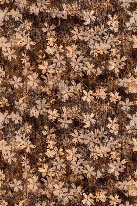 复古印花华亿平台图片