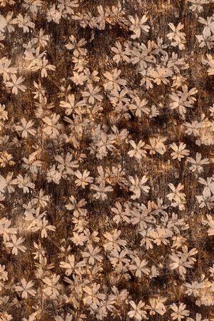 复古印花华亿平台图片