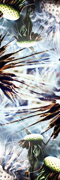 数码印花华亿平台图片