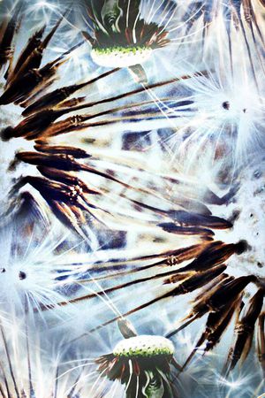 数码印花华亿平台图片