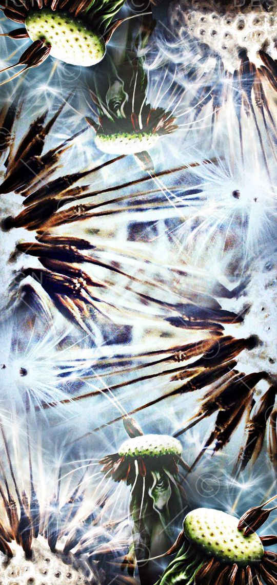 数码印花华亿平台图片