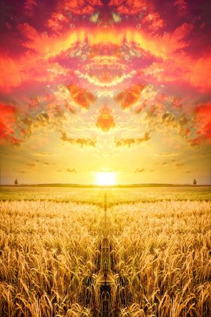 定位印花华亿平台图片