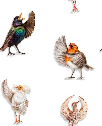 491761-流行时尚照片景观歌唱者鸟雀印花