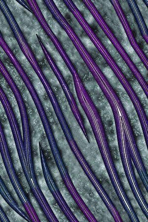 纹理风格印花华亿平台图片