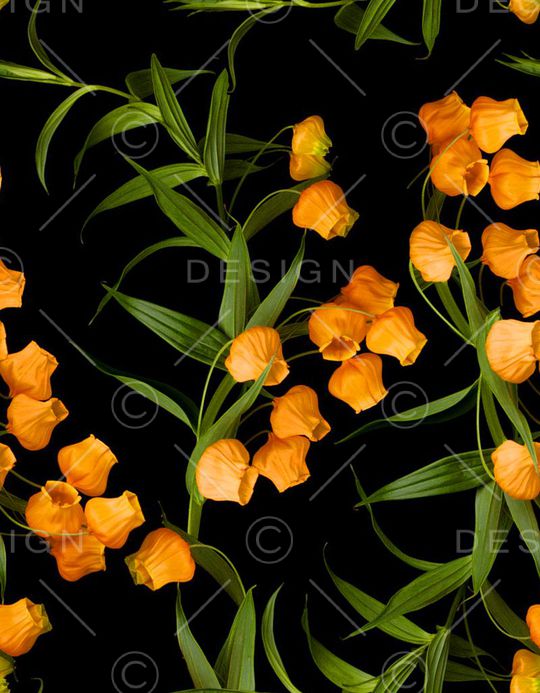 流行时尚印花华亿平台图片