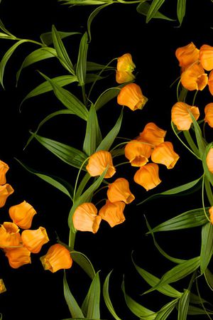 流行时尚印花华亿平台图片