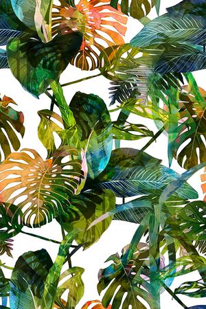 热带印花华亿平台图片