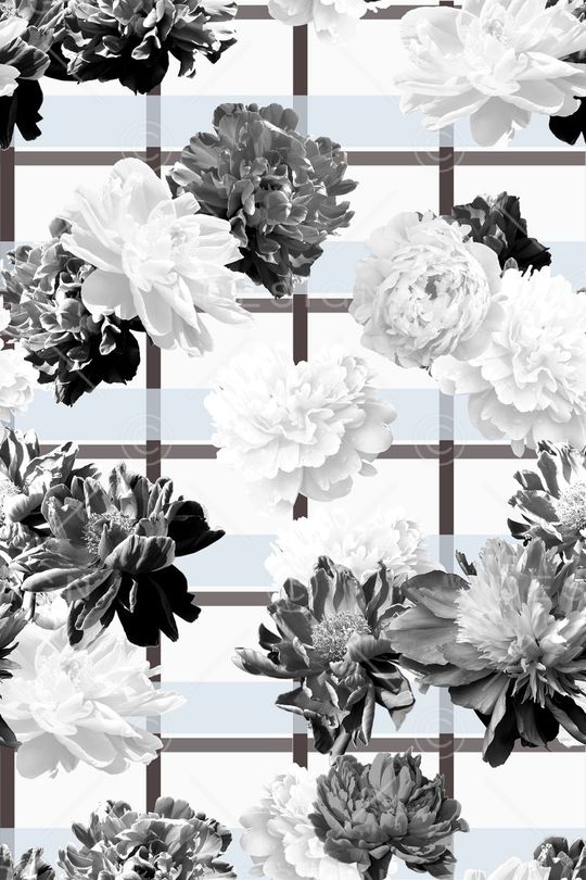 黑白印花华亿平台图片