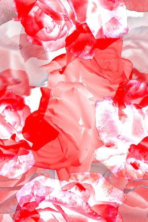 花卉女装印花华亿平台图片