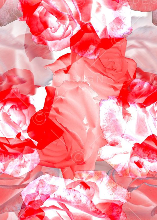 花卉女装印花华亿平台图片