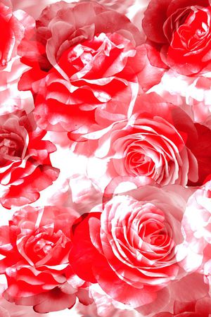 梦幻唯美印花华亿平台图片