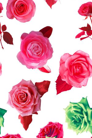 流行时尚印花华亿平台图片